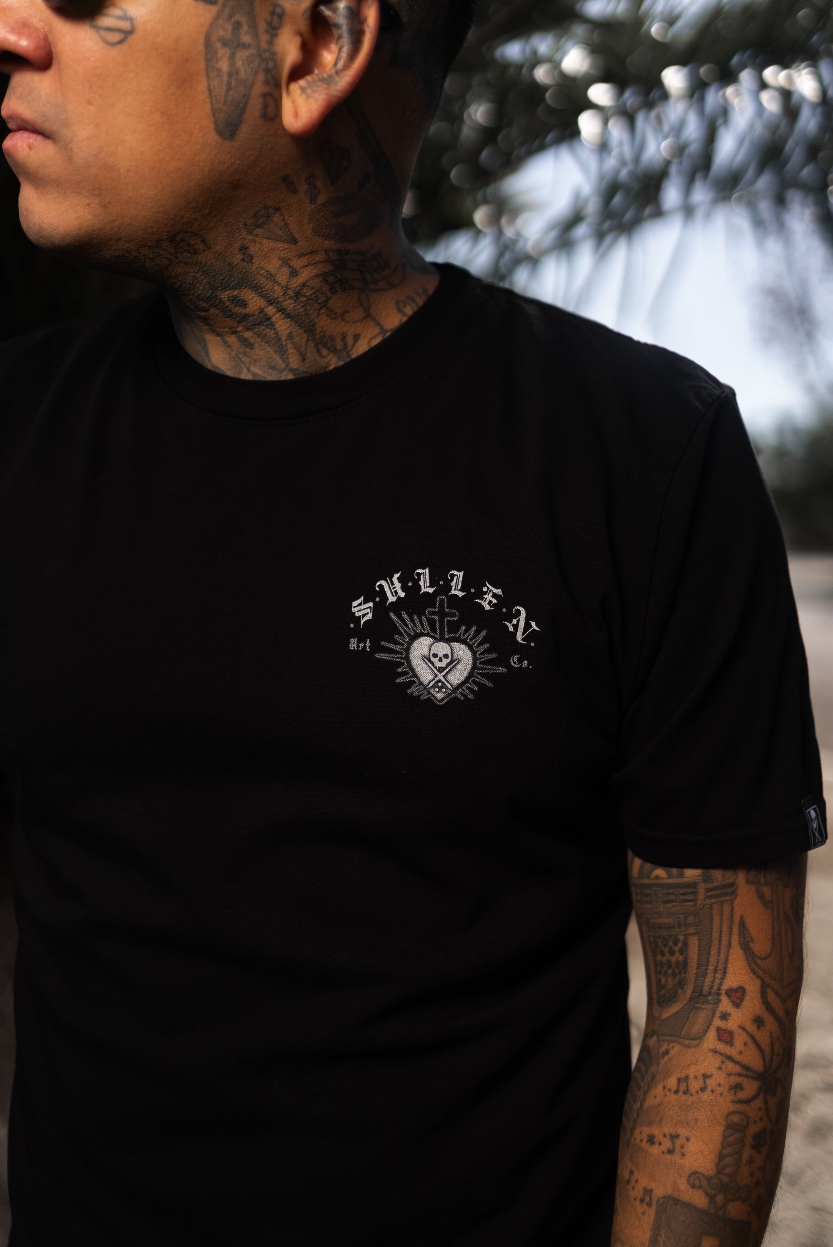 Gentile Madonna Premium