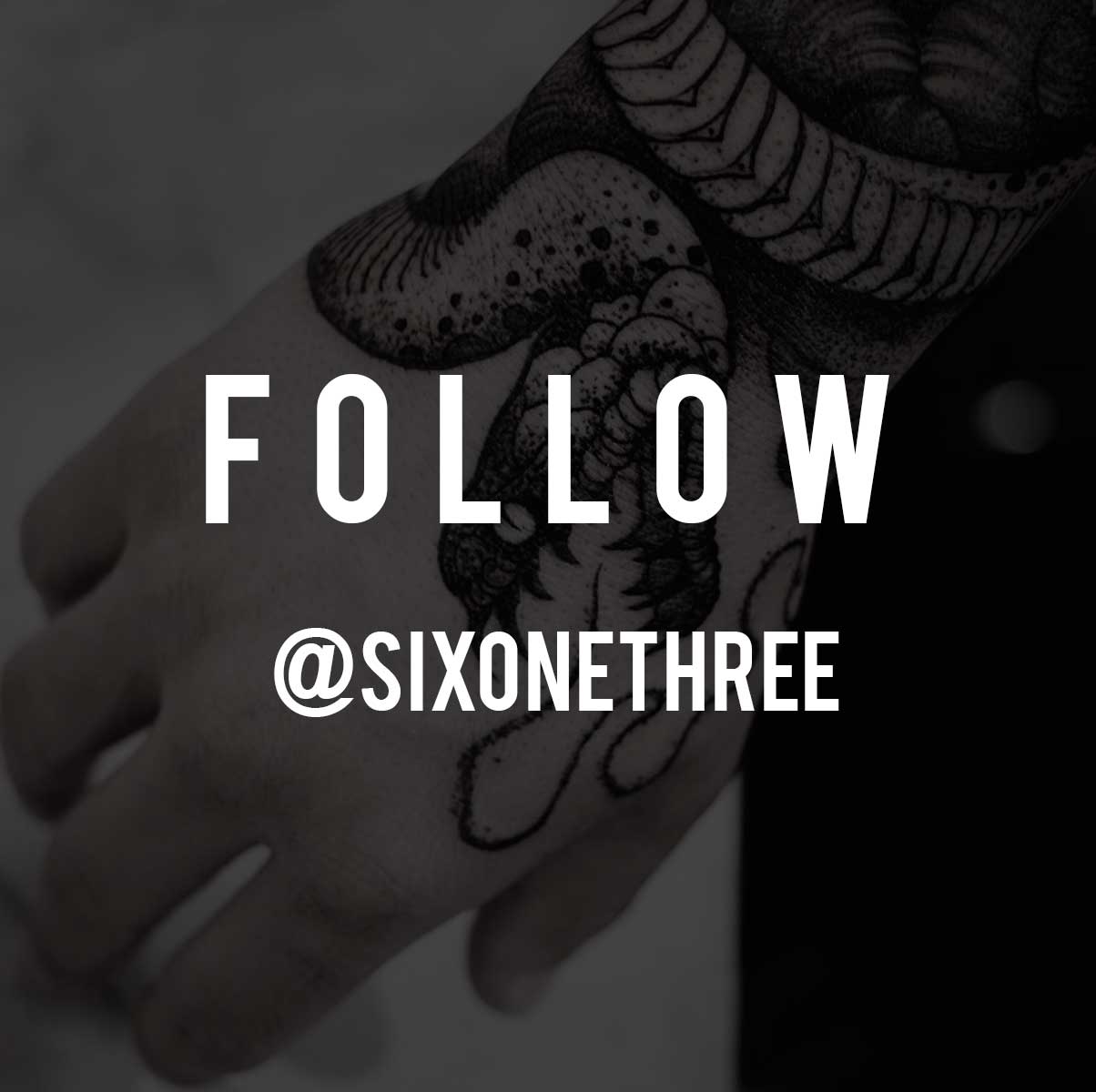 Follow - @sixonethree