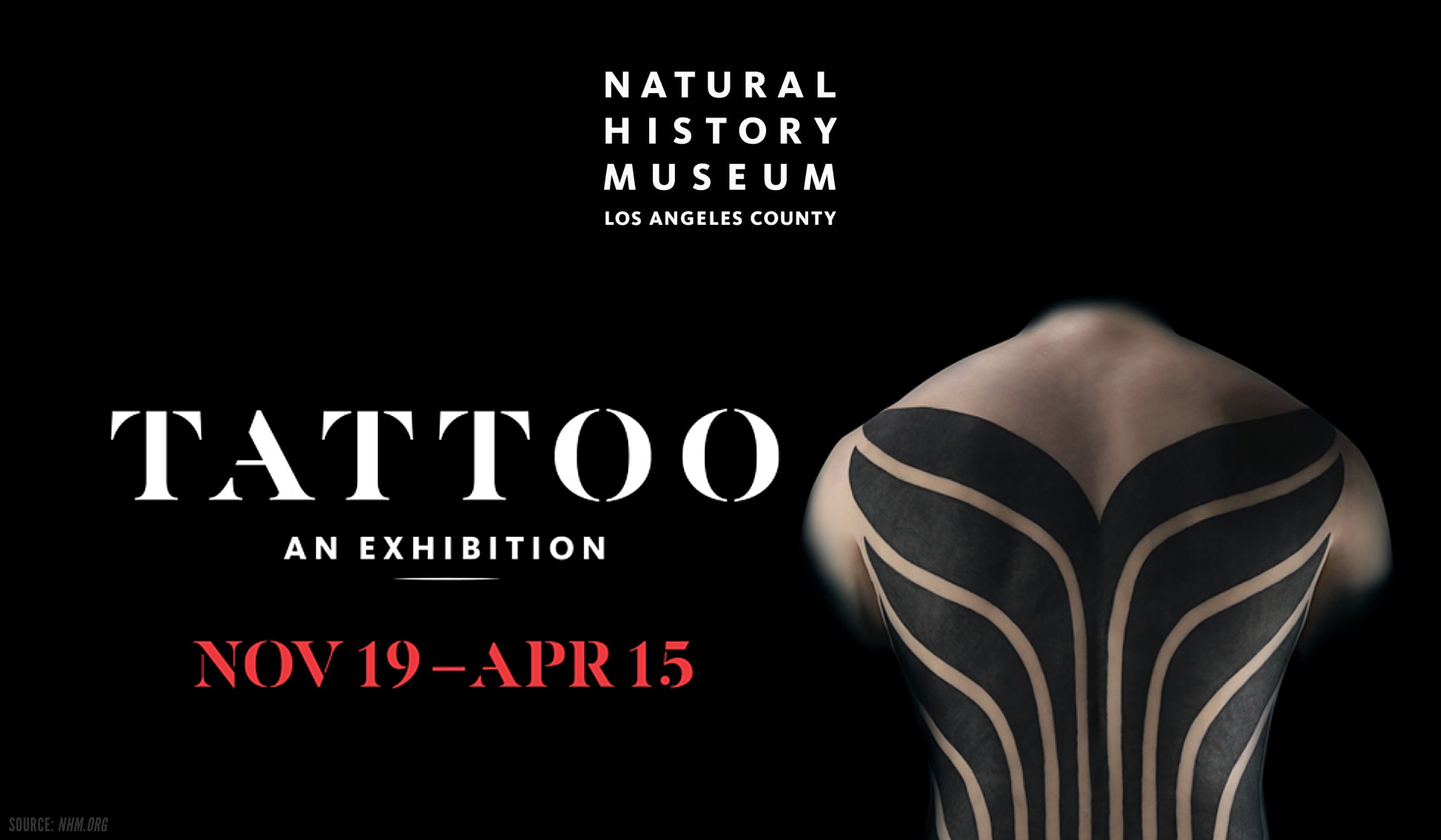 Explore "Tattoo" at the Natural History Museum