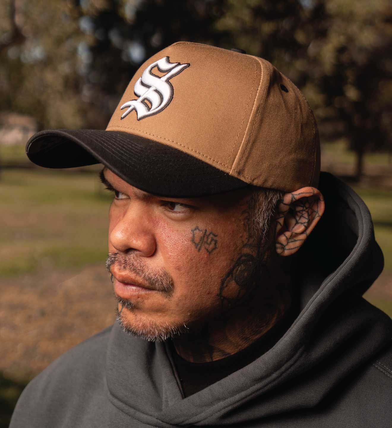Brush Snapback